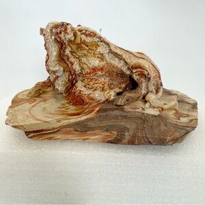 Abstract Stone Sculpture in Earth Tones Bison